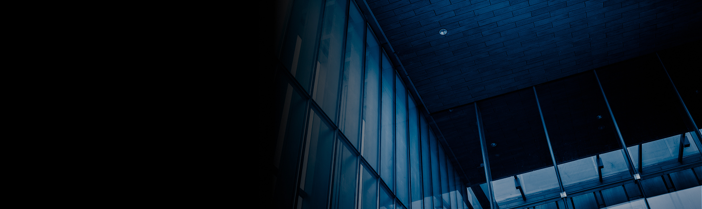 Medium-Large Business